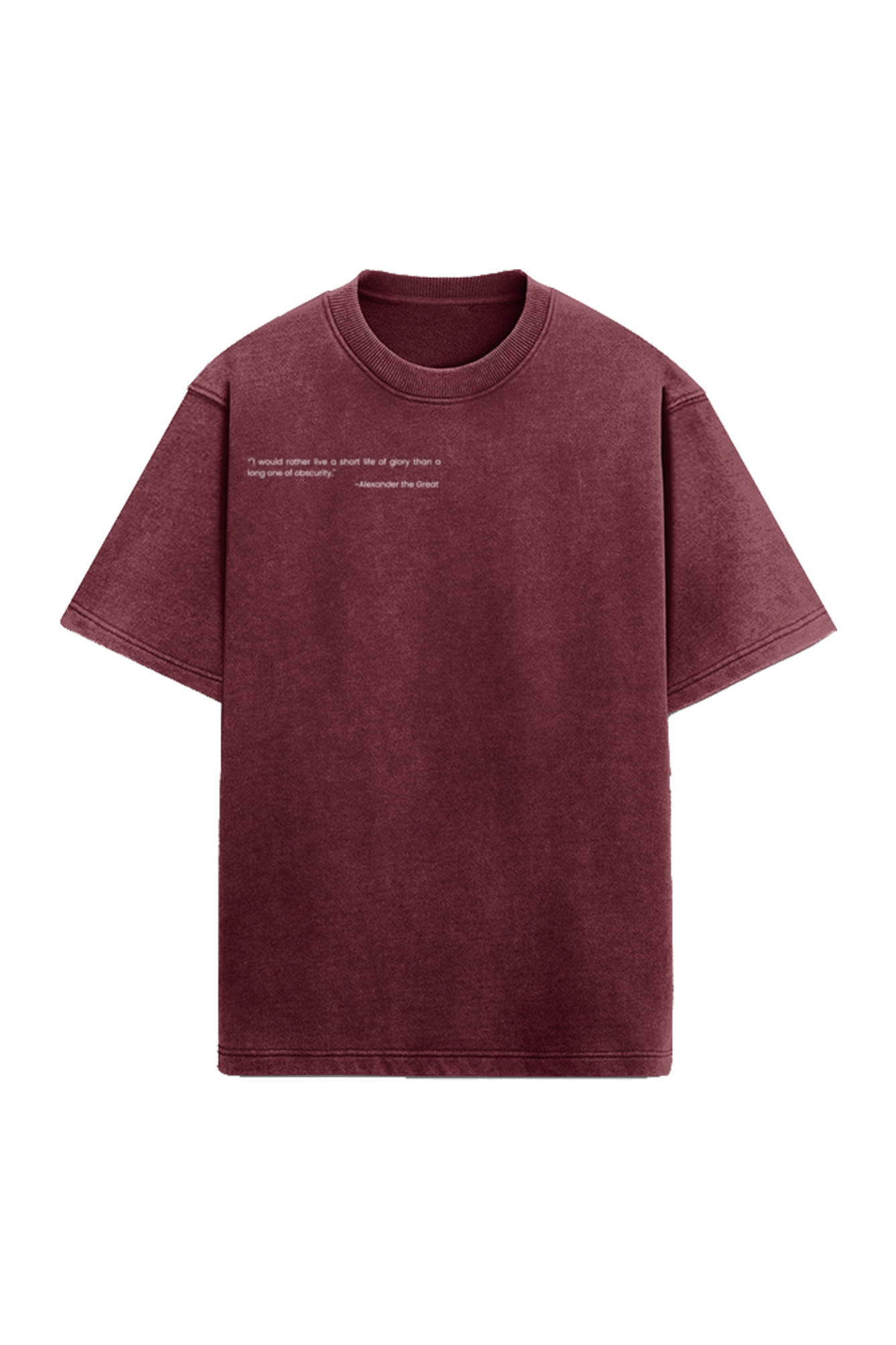 Ego Oversized Acid Washed T Shirt